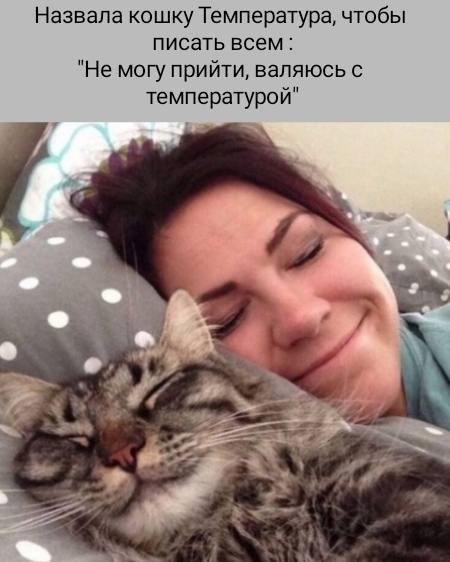 picture_408579940