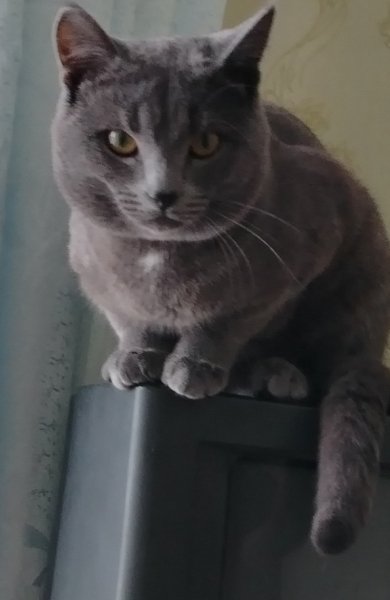 IMG 20250301 164502 edit 54833776594237