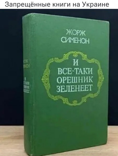 IMG 20260508 201339