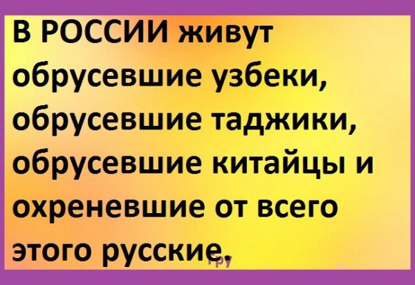 origбждбжэбдinal