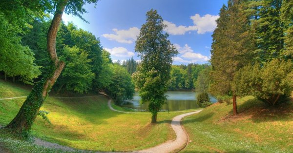 og og 155747063326009298