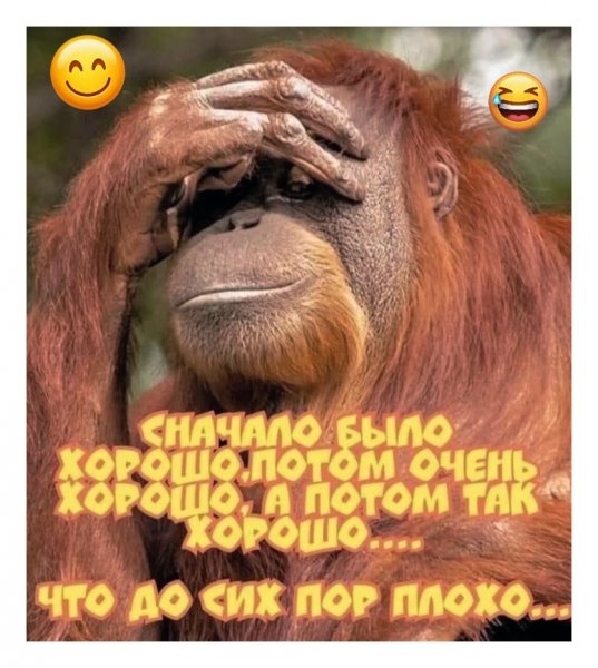 SUL9DsSvuKASBdrmd0vgrkcFsHxL0ocn5IQCsbCEfgbOt