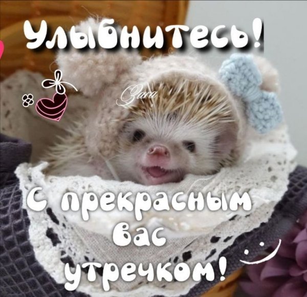 95a4a0fe87bb8aa242c986d9f6cf1059