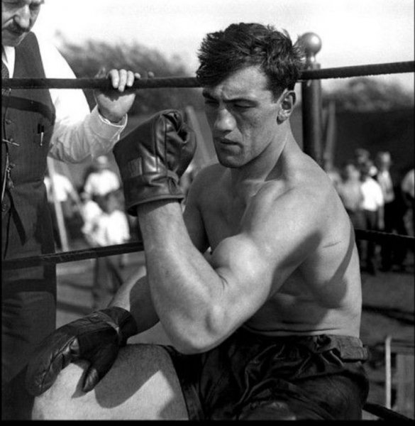 B361c52f0c72ab4e05a416d44de634a0