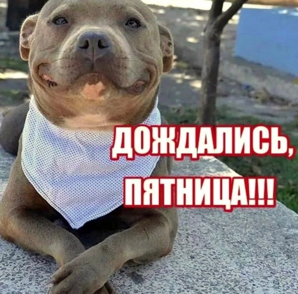 )))