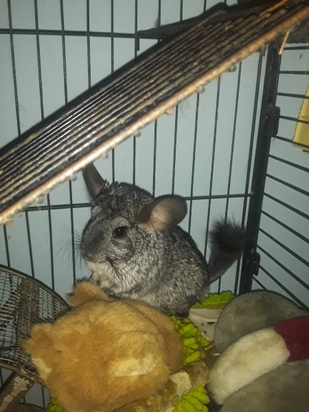 picture_297836862