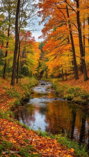 Ko3qkGKQjnU6mj7ynH0LNEwN0ycmQM--8BT6a2FxOlfOr8y TYxT7O7K1VsS