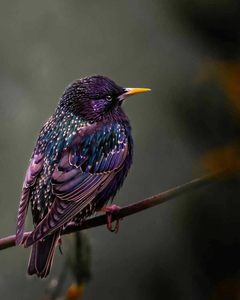 14-47-47-186357639 255629586341593 5708937833559268398 n