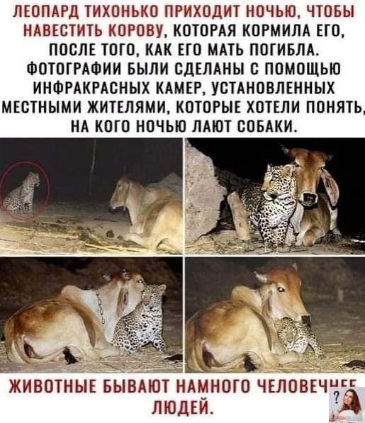 FB IMG 1609479357765