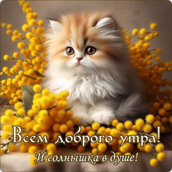 B563e855f09f42c5ee856c49a534a56b