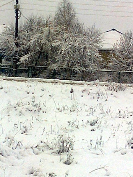 Вернулась зима