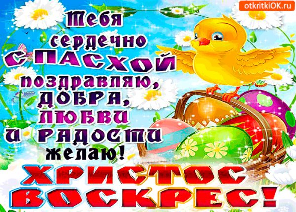 tebja-serdechno-s-pashoi-pozdravleaiu