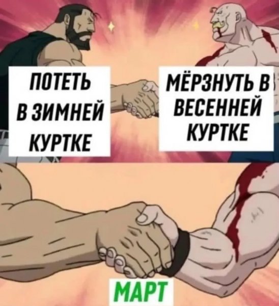 Ygarilla 7e16647b792f404d