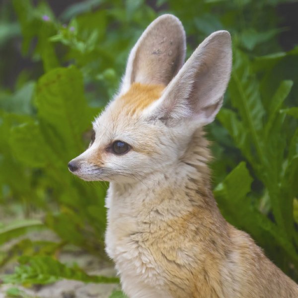 cd80a6ac28a0ab9b2c510