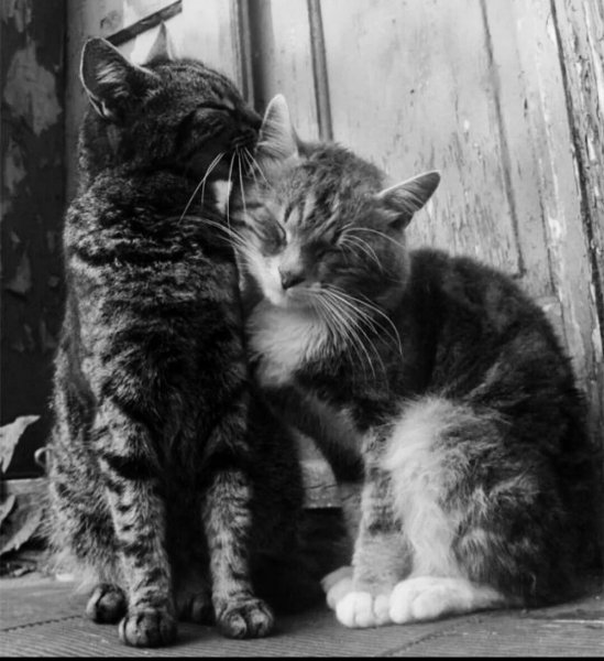 Примерение