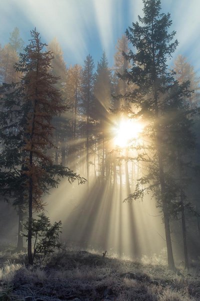 Природа