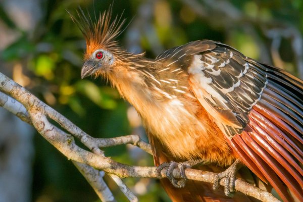 x971 1 5505cc297639b51d4806b84e00e42372@4496x2997 0xac12