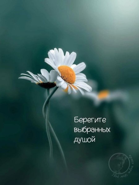 U5 Og8iLqws8yIKMaPTE5qQac6bGa346eR3IZsEI16e5YXXGZGSaKlPd9zRJ