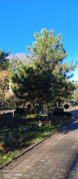 Анапа. Сквер Гудовича