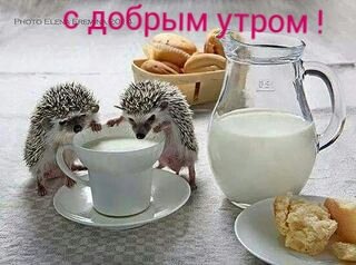 IMG 20161214 055005