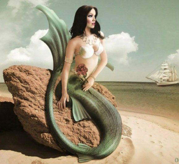 Screenshot 20251231-211125 Chrome