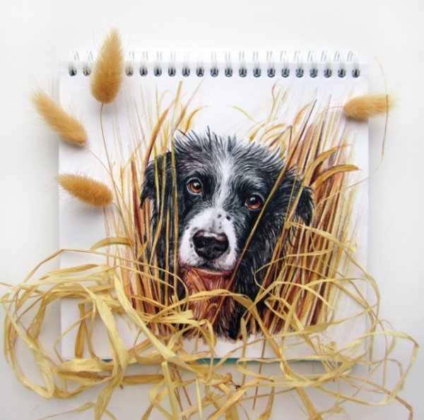 Funny Art by Valeria Susik-10