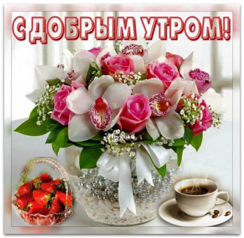с добрым утром