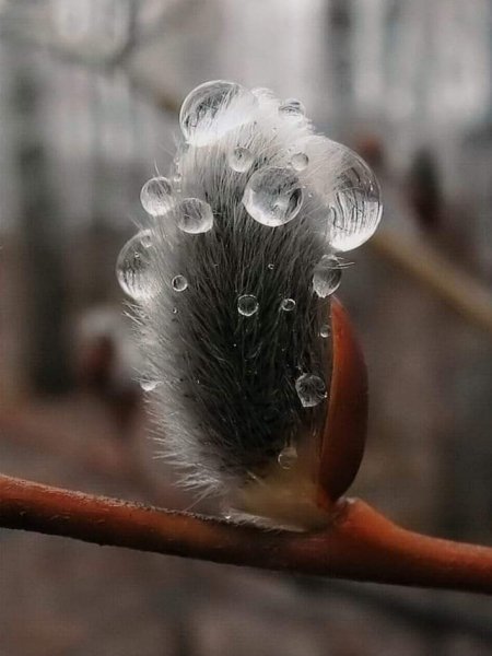 FB IMG 1709840046814