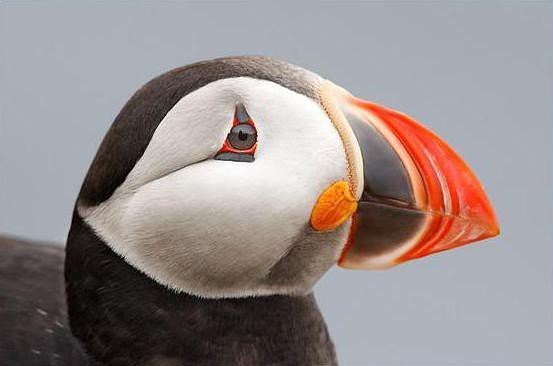 I - 2025-08-23T020633.692