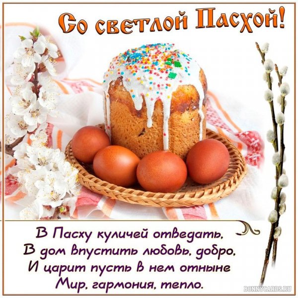 IMG-20220424-WA0027