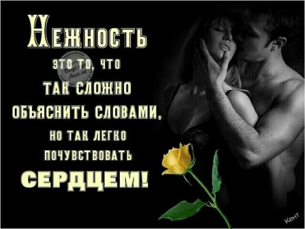Любовь