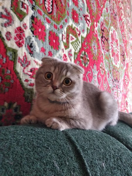 IMG 20190417 144140