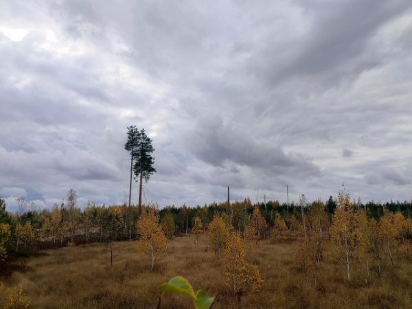 picture_398115358