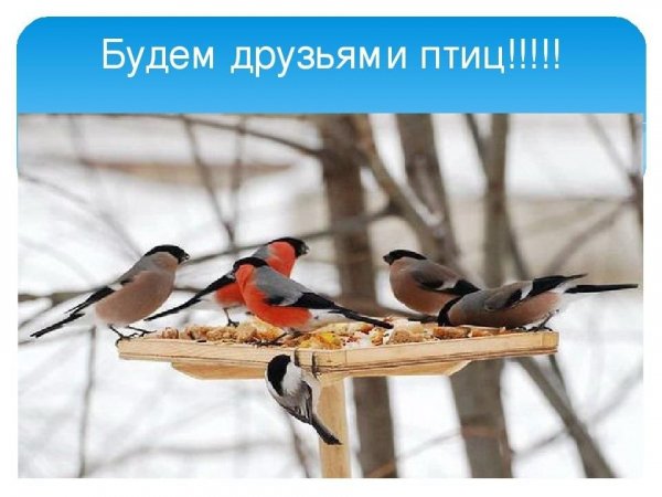 Да!!!!!!!!