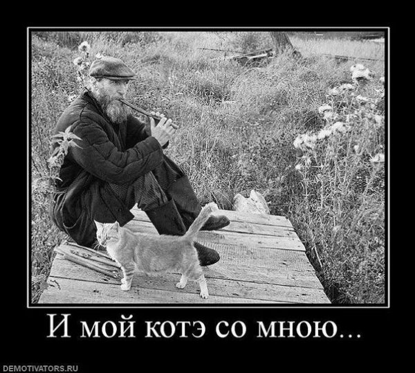 pics