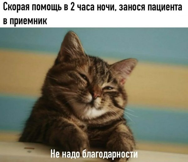 IMG 20260114 045556