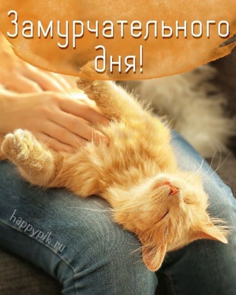 Доброе утро!