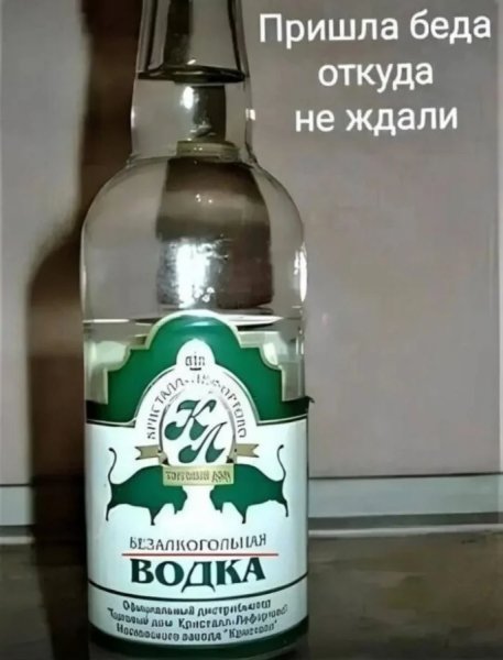 Poshlye-memy-i-chernyj-jumor-18-podborka-211-15