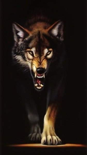 a1d6732fa47ac6401f8660a74a125303