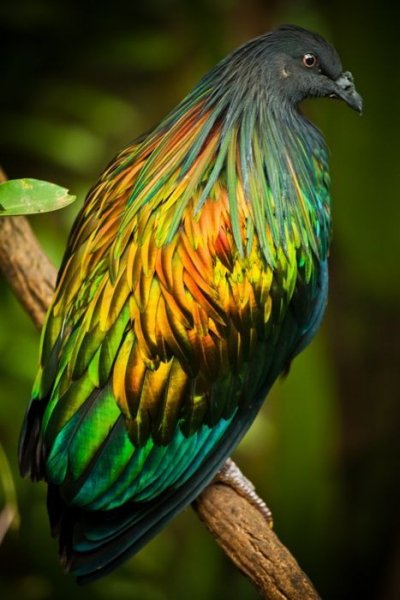 C01e2a89b095d8147e171a7555d43954