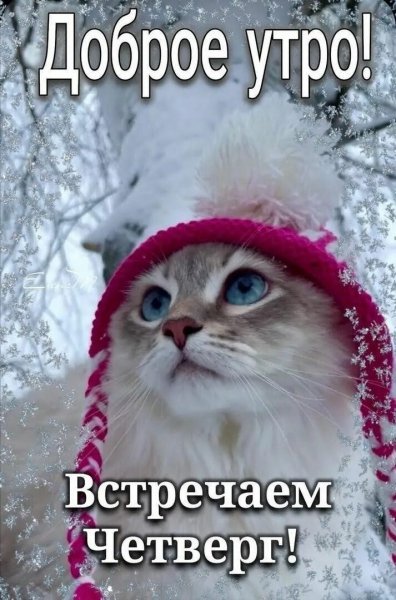 Доброе утро!