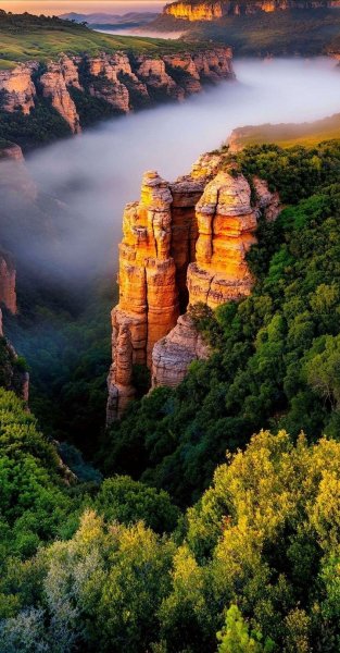 Арт Природа