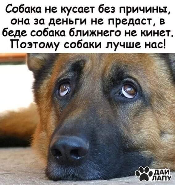 FB IMG 1622491412195