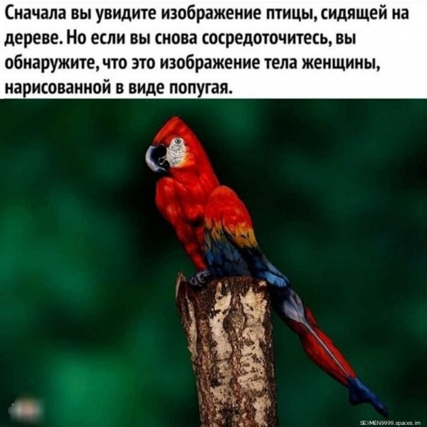 IMG 20210328 165454-