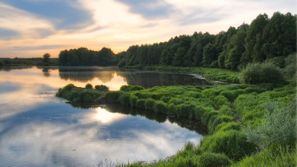 Рыбные места