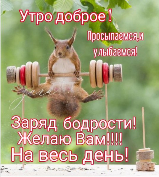 доброе утро 101414