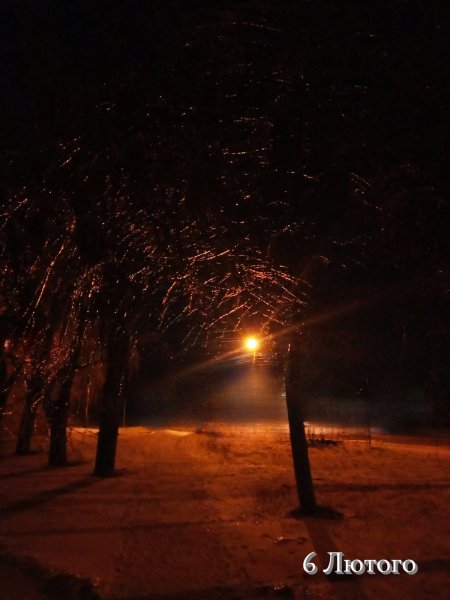 6 Лютого