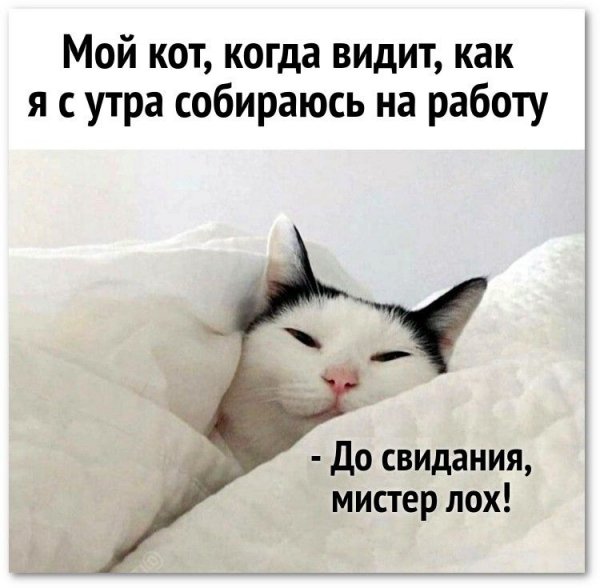 e1b2012835e1ea7393c0c2d587f53