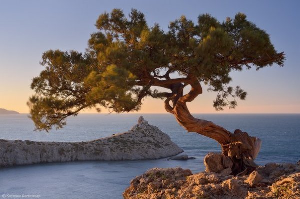 Новый Свет - райский уголок Крыма