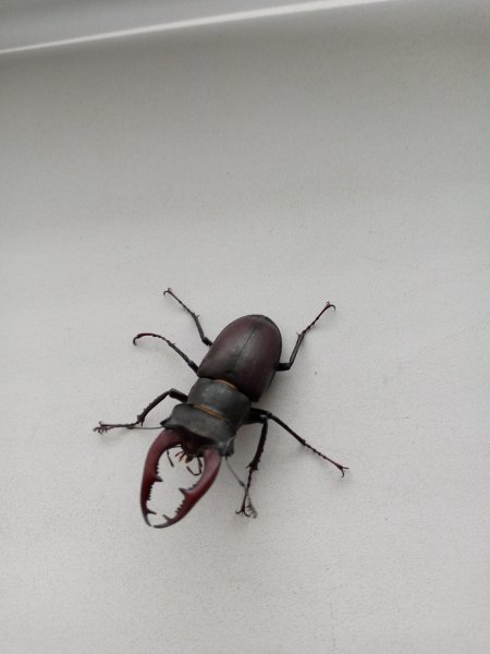 IMG 20210616 121055 798